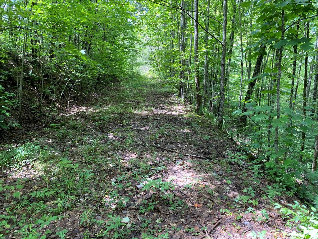 24 Fox Hunters Way Sevierville, TN 37876 - Photo 5 of 6