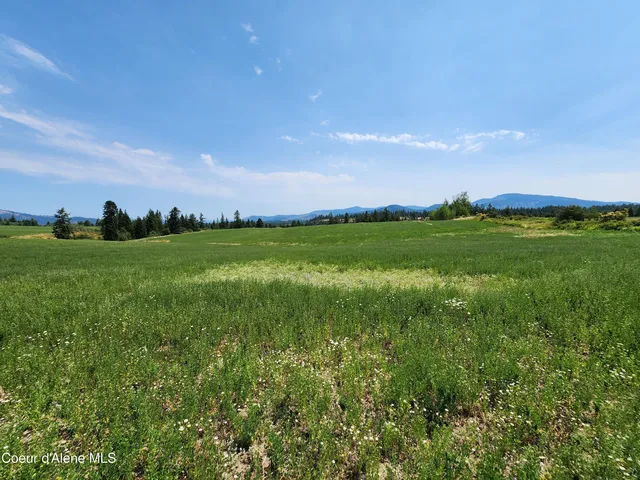 $1,595,000 | 7375 East Sunrise Drive, Harrison, ID 83833