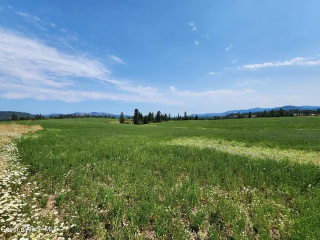 $1,595,000 | 7375 East Sunrise Drive, Harrison, ID 83833