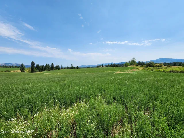$1,595,000 | 7375 East Sunrise Drive, Harrison, ID 83833