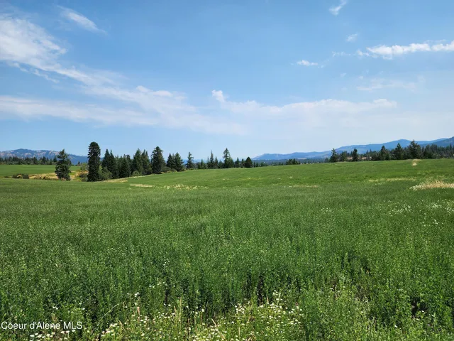 $1,595,000 | 7375 East Sunrise Drive, Harrison, ID 83833