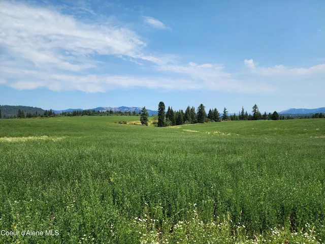 $1,595,000 | 7375 East Sunrise Drive, Harrison, ID 83833