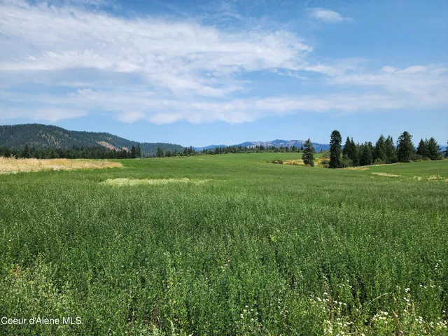 $1,595,000 | 7375 East Sunrise Drive, Harrison, ID 83833