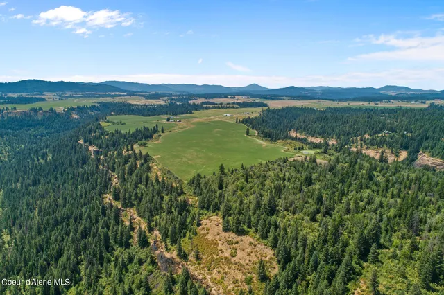 $1,595,000 | 7375 East Sunrise Drive, Harrison, ID 83833