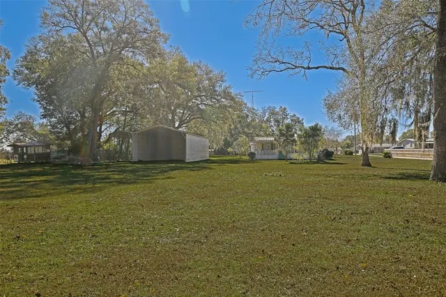 a view of a field with large trees