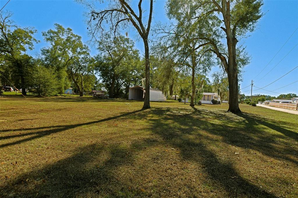 7452 Southeast 135th Street Summerfield, FL 34491 - Photo 8 of 43 a view of a trees in a yard