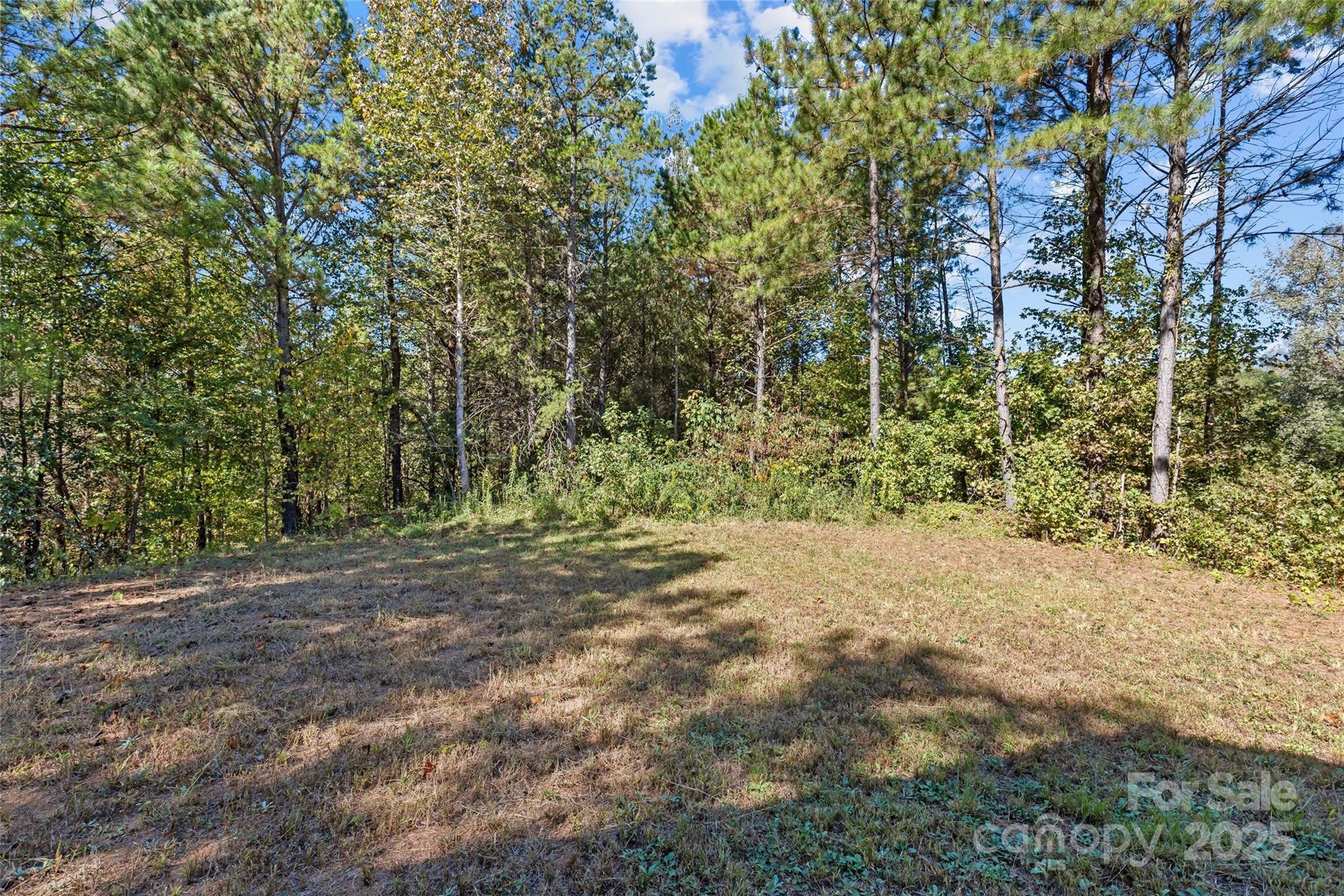 8341 Reedy Creek Road Charlotte, NC 28215 - Photo 39 of 40 a view of a yard with a tree