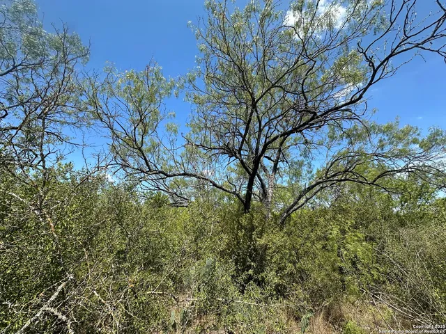 $16,500 | 531 Baltzell Avenue, San Antonio, TX 78221