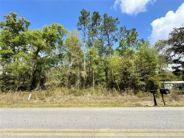 $19,000 | Tbd Hardee Street, Bronson, FL 32621