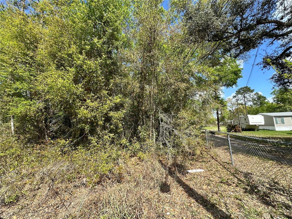 Tbd Hardee Street Bronson, FL 32621 - Photo 2 of 11 a view of a yard