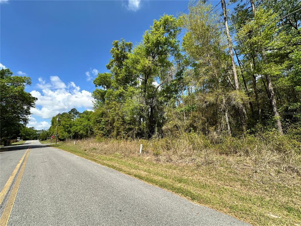 Tbd Hardee Street Bronson, FL 32621 - Photo 5 of 11 a view of a pathway both side of yard
