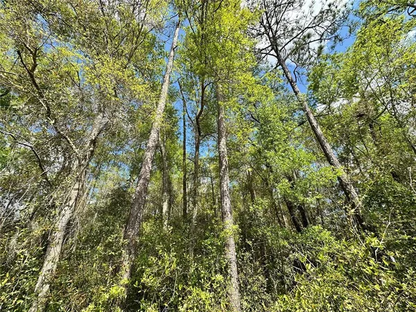 $19,000 | Tbd Hardee Street, Bronson, FL 32621