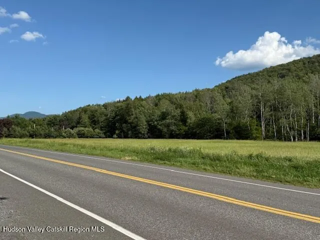 a view of a yard and a big yard