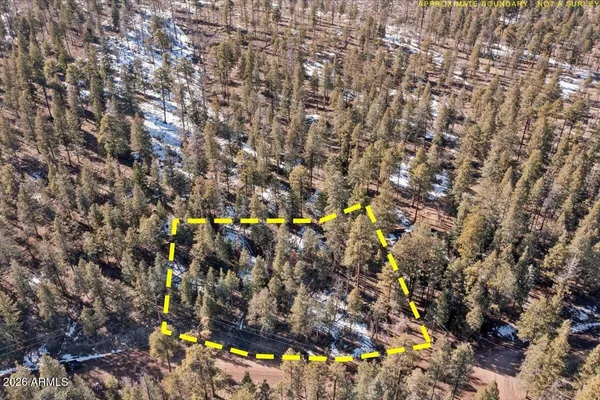 a view of a tree with some trees