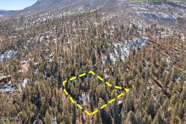 a view of a tree with a mountain in the background