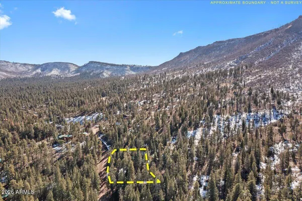 $73,500 | 9 County Road 2073, Unit 1, Alpine, AZ 85920
