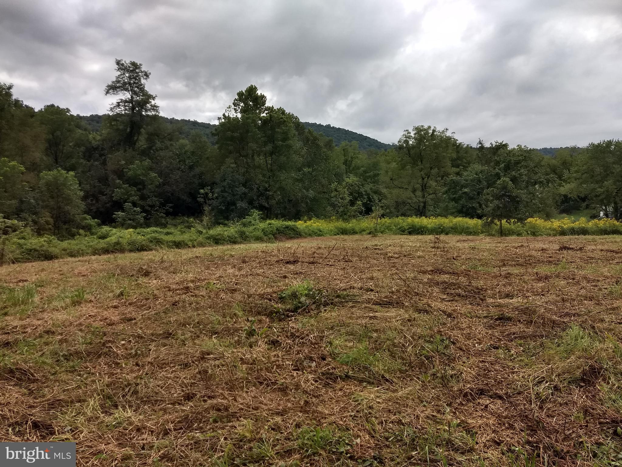 11440 John Marshall Highway Markham, VA 22643 - Photo 15 of 32 level and cleared