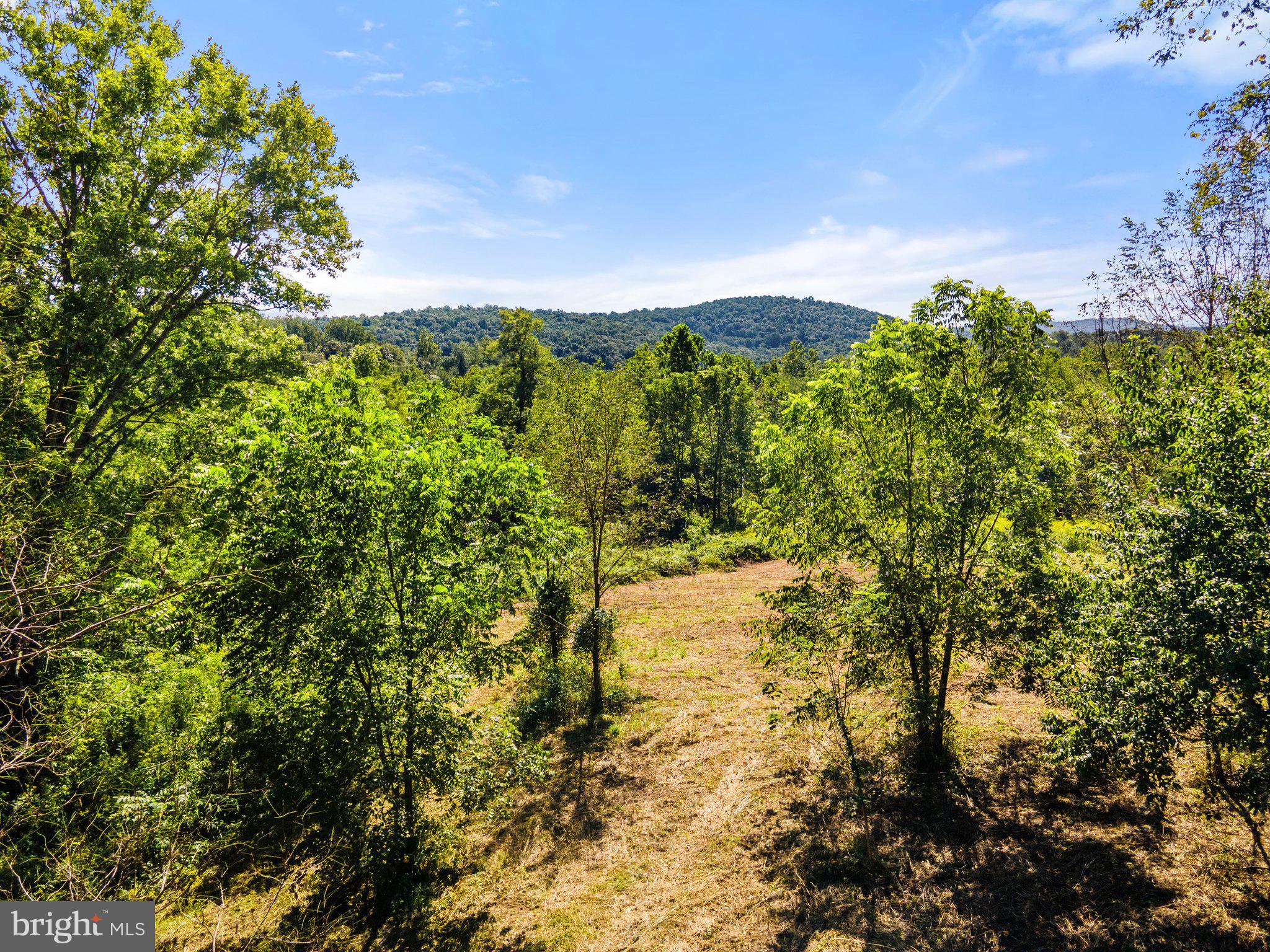 11440 John Marshall Highway Markham, VA 22643 - Photo 16 of 32 partially cleared