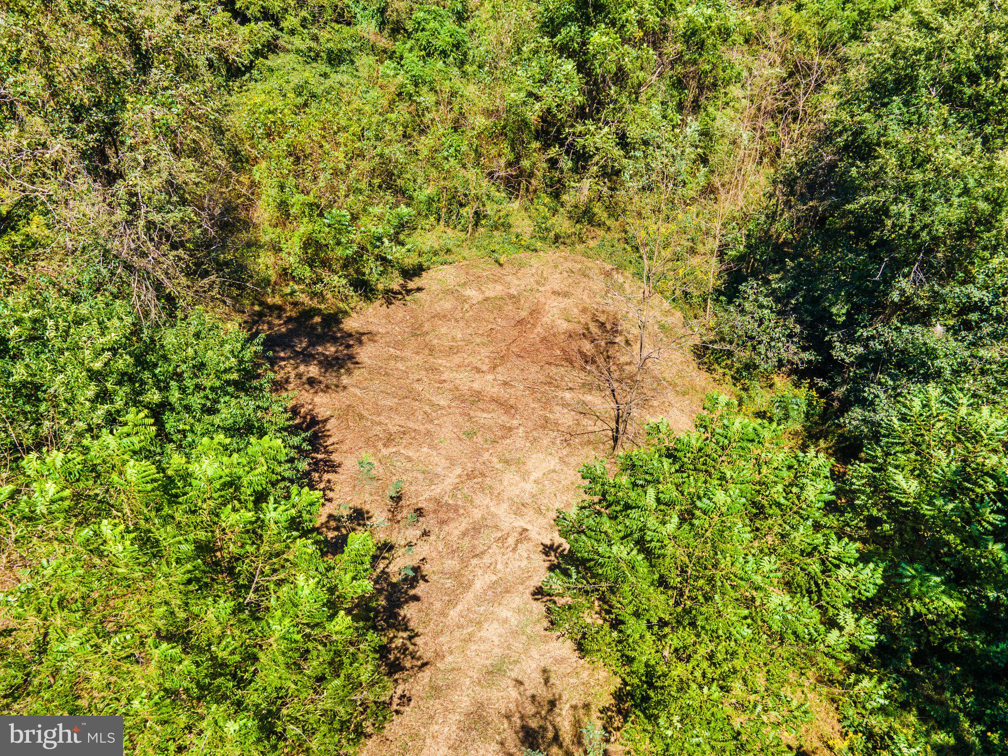 11440 John Marshall Highway Markham, VA 22643 - Photo 17 of 32 cleared area