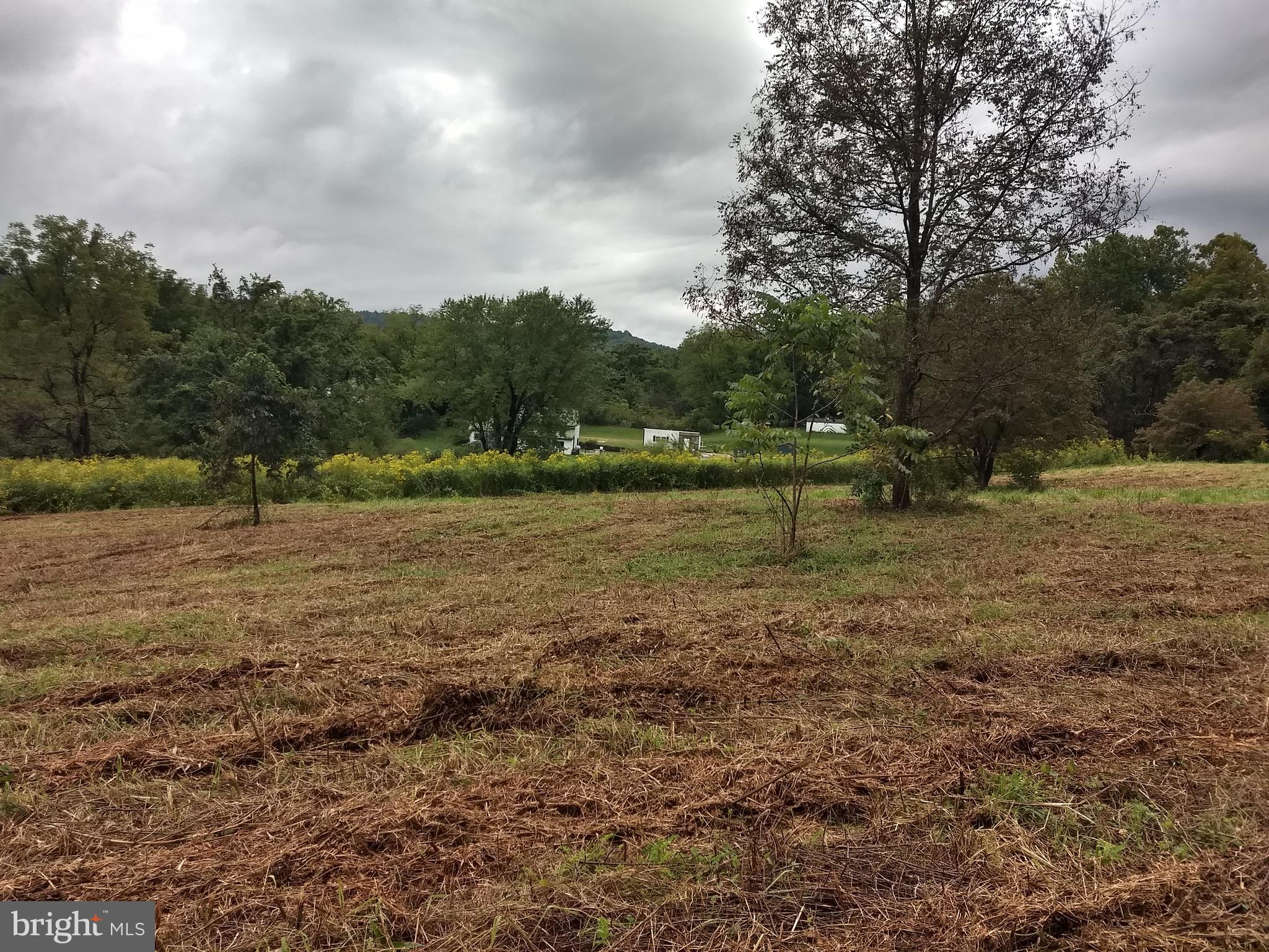 11440 John Marshall Highway Markham, VA 22643 - Photo 18 of 32 level home site