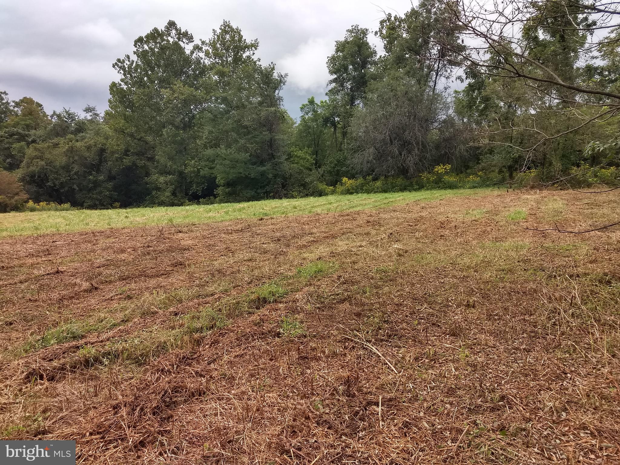 11440 John Marshall Highway Markham, VA 22643 - Photo 19 of 32 cleared area