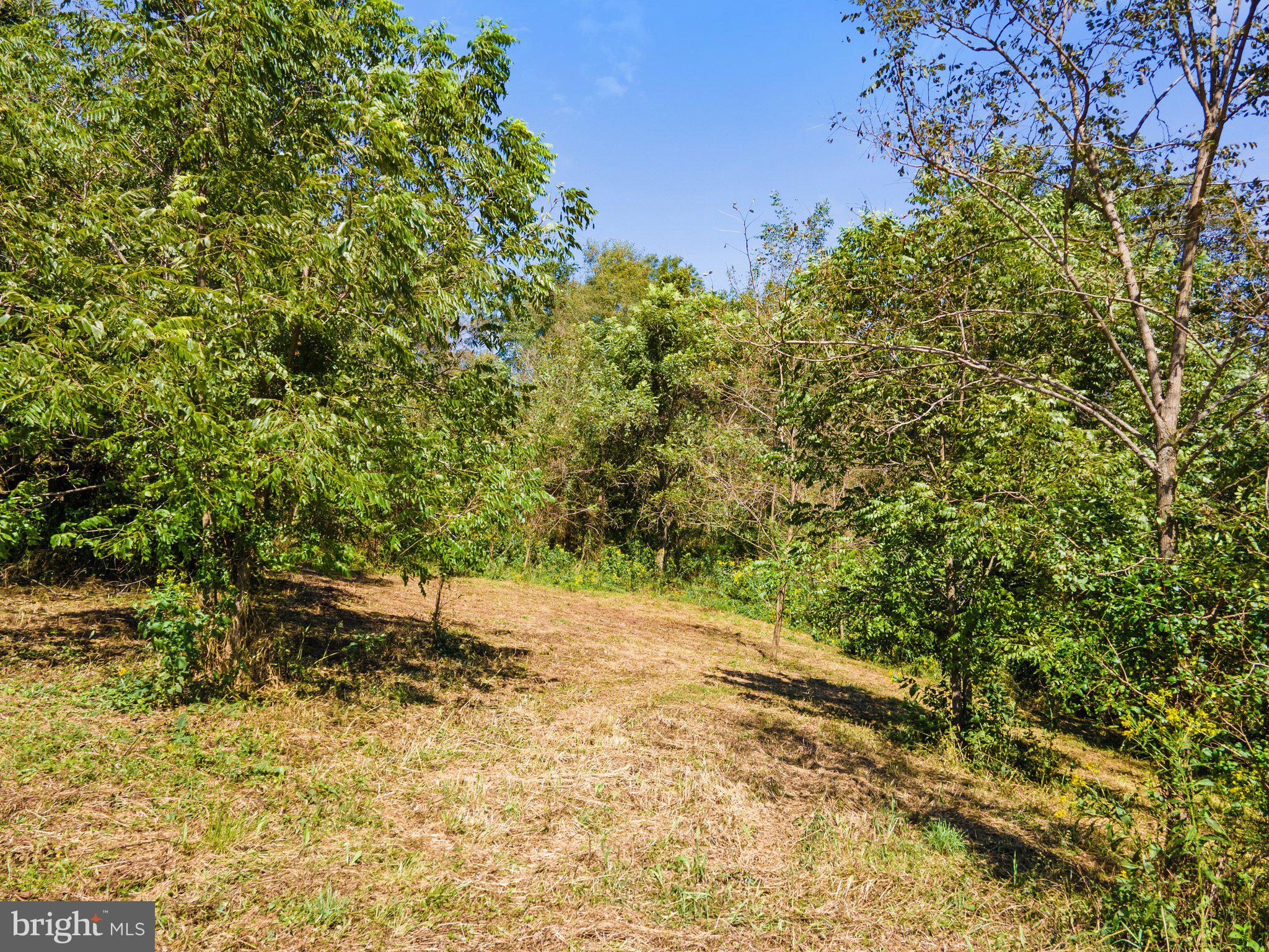 11440 John Marshall Highway Markham, VA 22643 - Photo 20 of 32 partially cleared