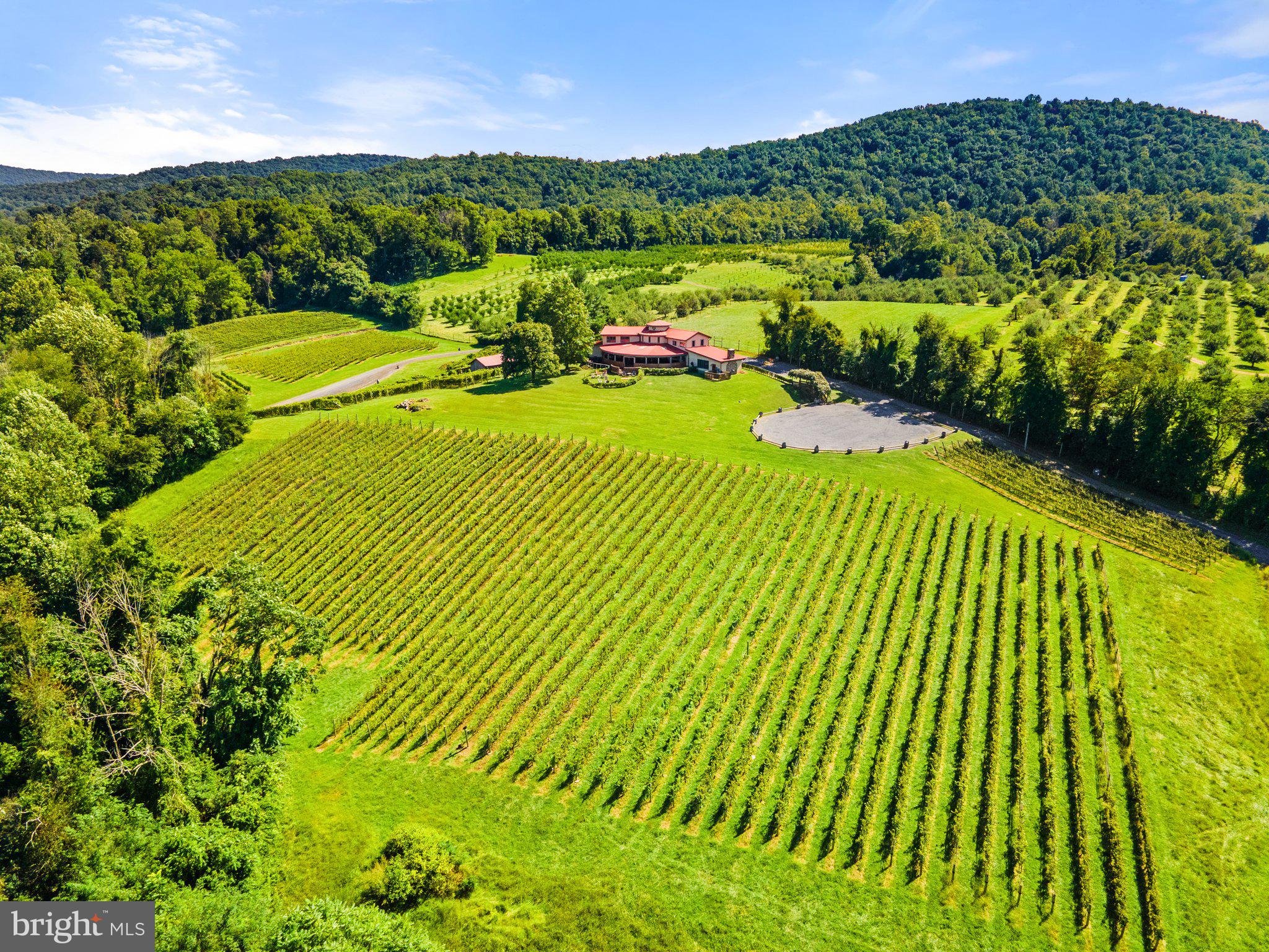 11440 John Marshall Highway Markham, VA 22643 - Photo 23 of 32 local winery