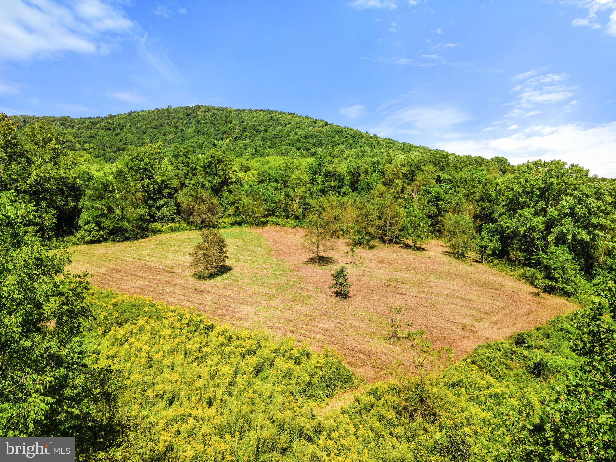 11440 John Marshall Highway Markham, VA 22643 - Photo 4 of 32 lovely elevated home site area