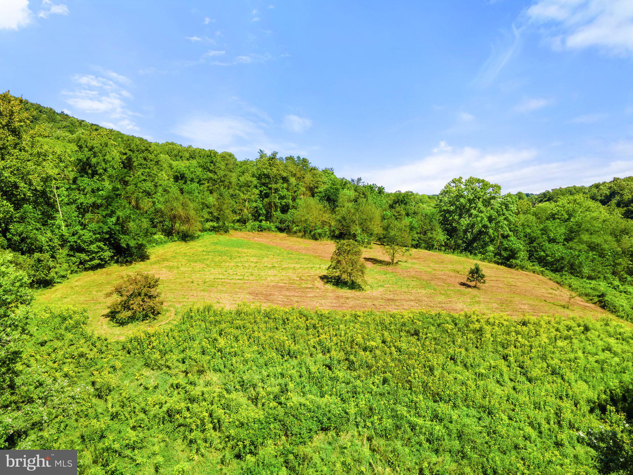 11440 John Marshall Highway Markham, VA 22643 - Photo 6 of 32 cleared area