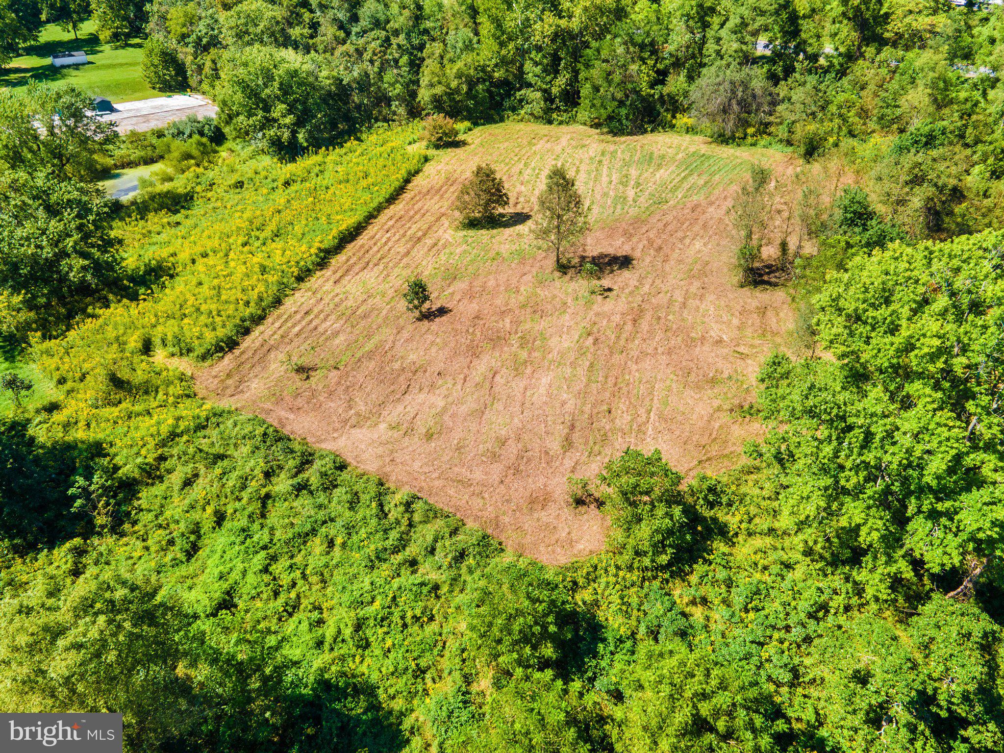 11440 John Marshall Highway Markham, VA 22643 - Photo 7 of 32 cleared area