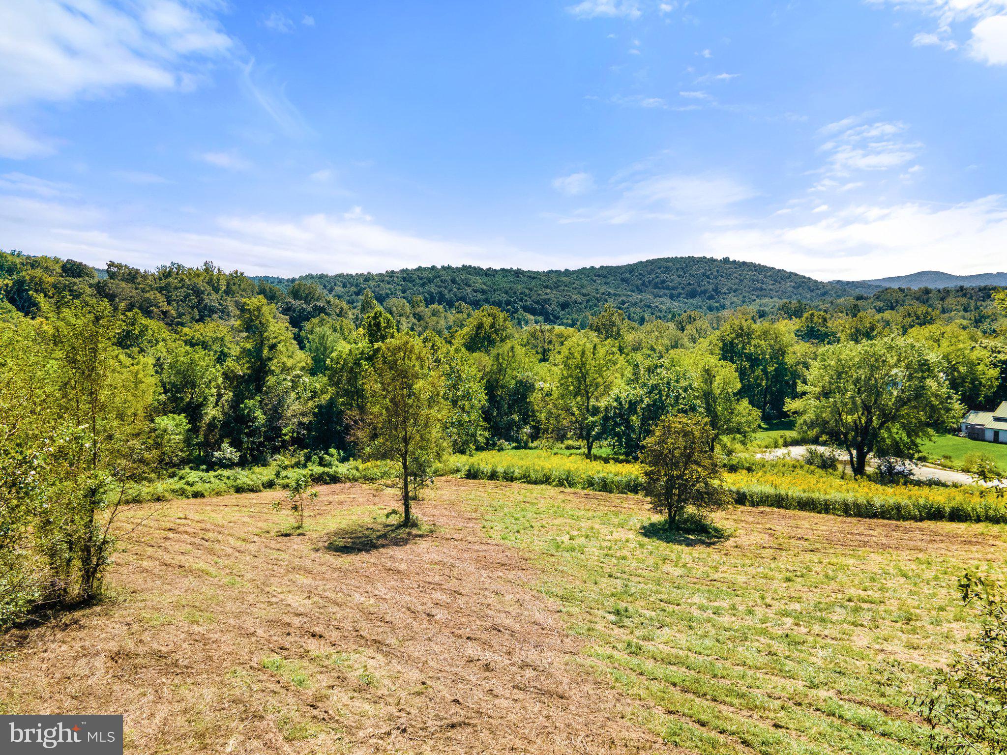 11440 John Marshall Highway Markham, VA 22643 - Photo 8 of 32 level and cleared area