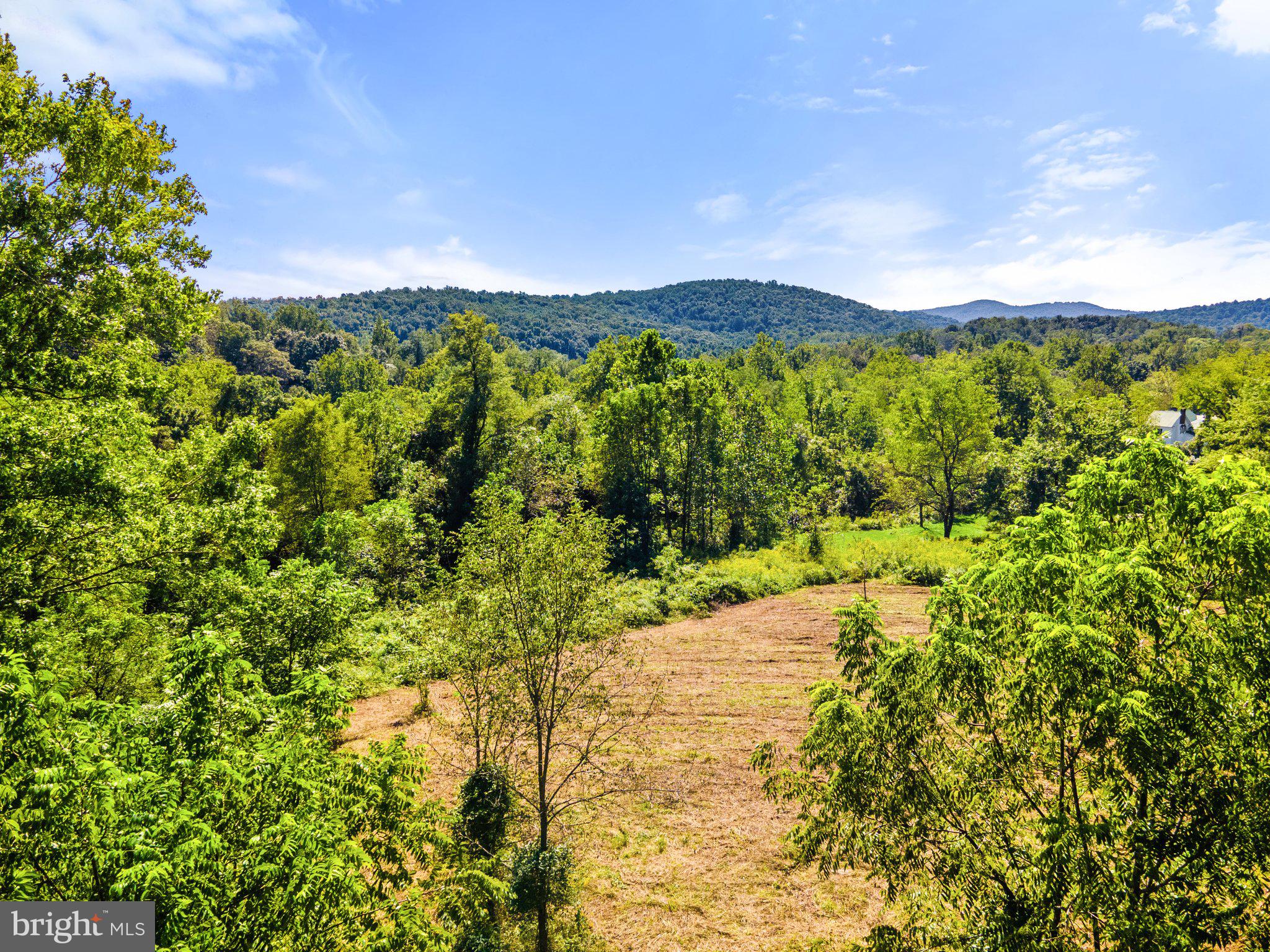 11440 John Marshall Highway Markham, VA 22643 - Photo 9 of 32 cleared + trees