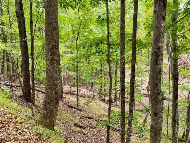 a view of outdoor space and garden from balcony