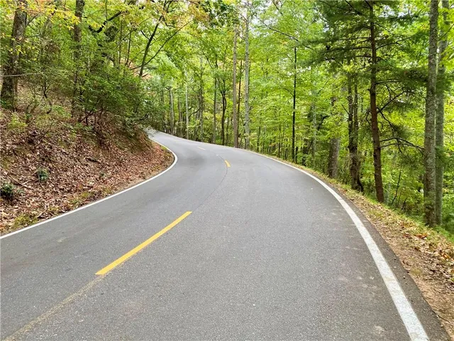 a view of a yard with plants