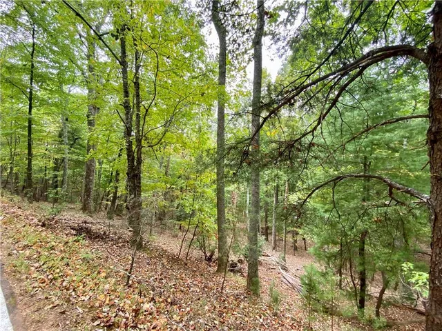 a backyard of a house with lots of trees