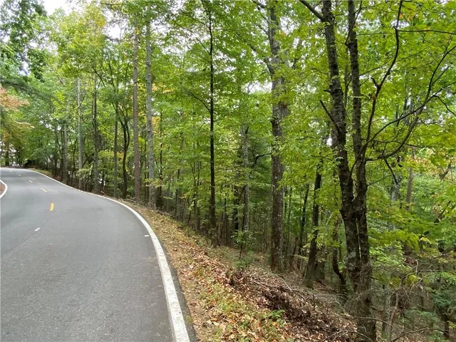 a view of a trees in a yard