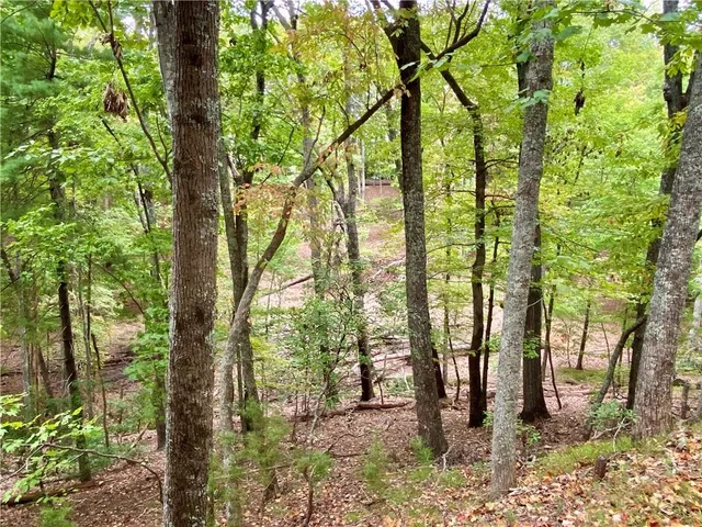 a backyard of a house with lots of plants and large trees