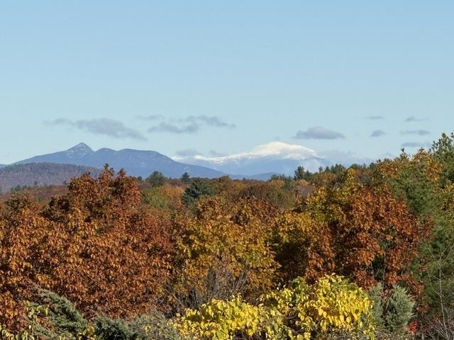 36 Blueberry Hill Road Wolfeboro, NH 03894 - Photo 18 of 59