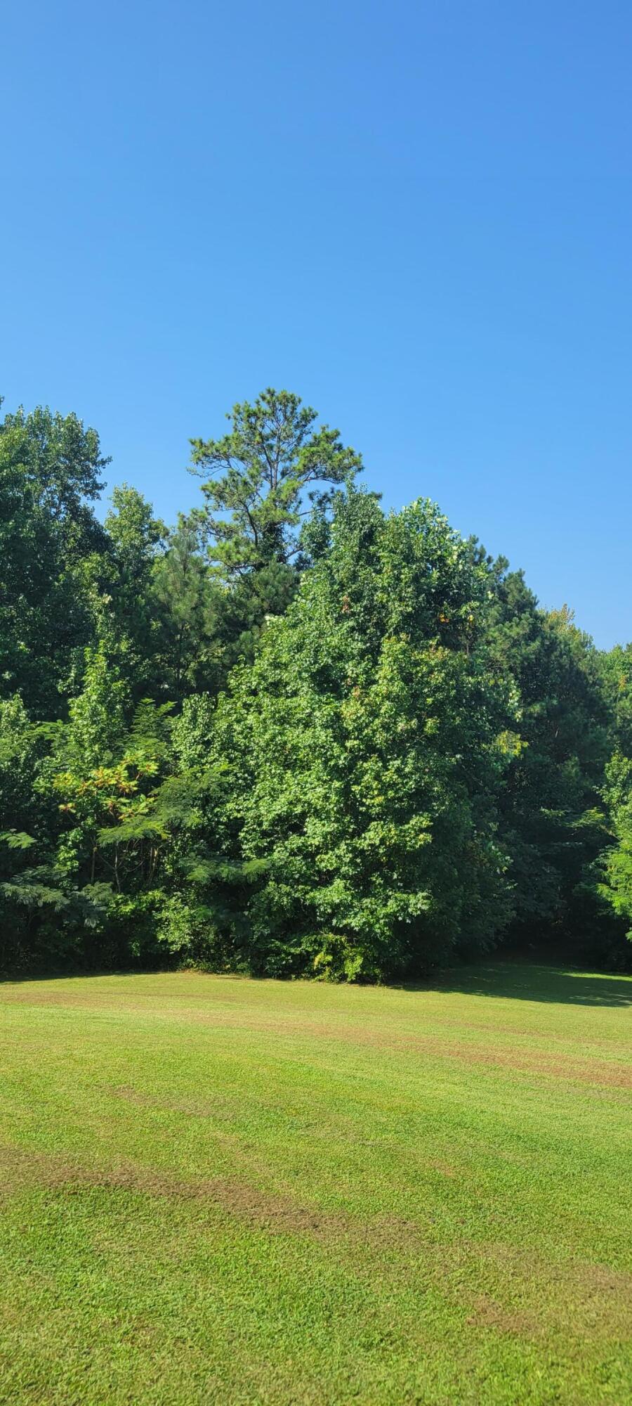 320 Childress Hollow Road Chickamauga, GA 30707 - Photo 3 of 67 20230821_105425