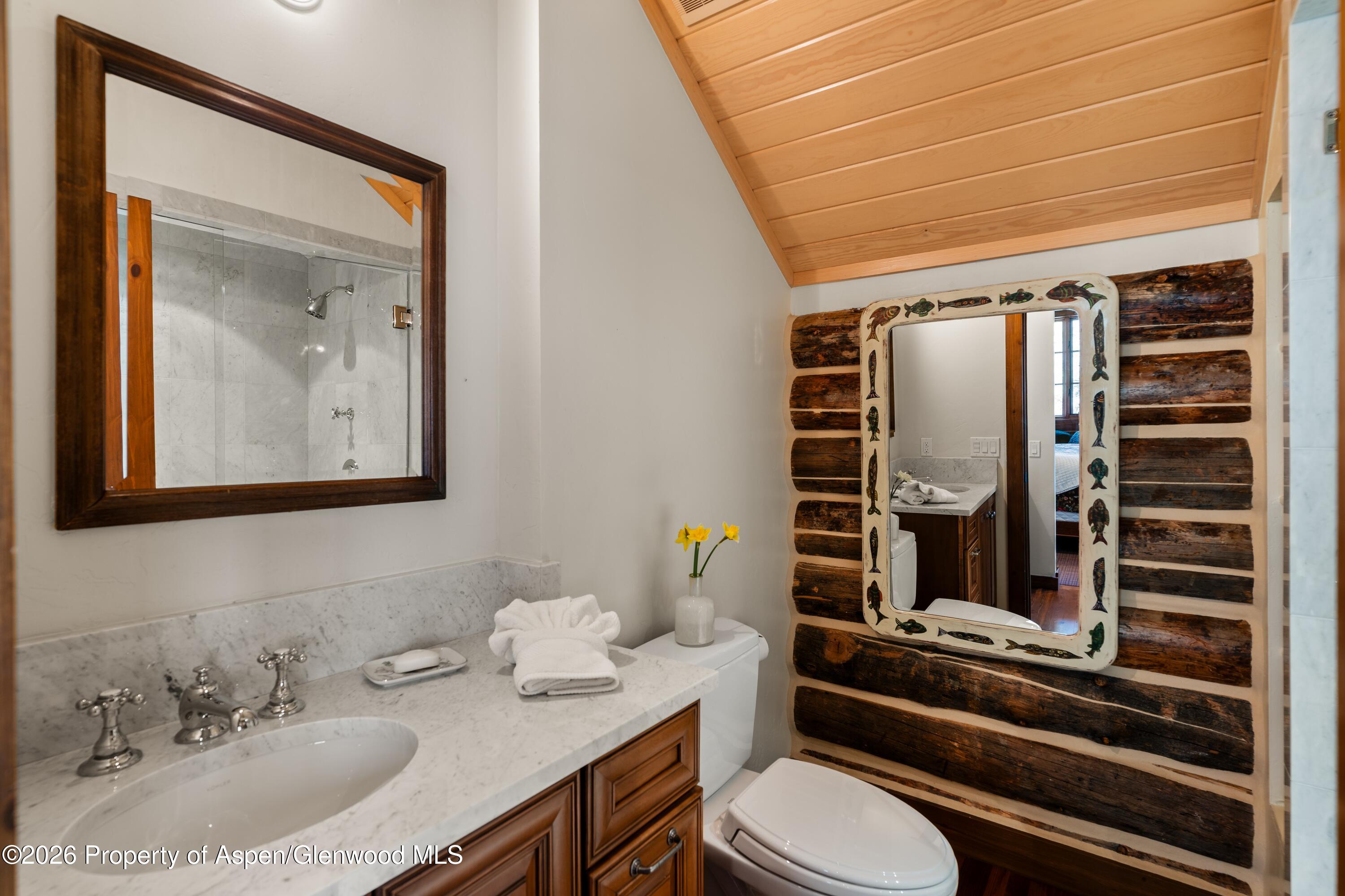 397 Oak Road Basalt, CO 81621 - Photo 16 of 32 a bathroom with a toilet sink and mirror
