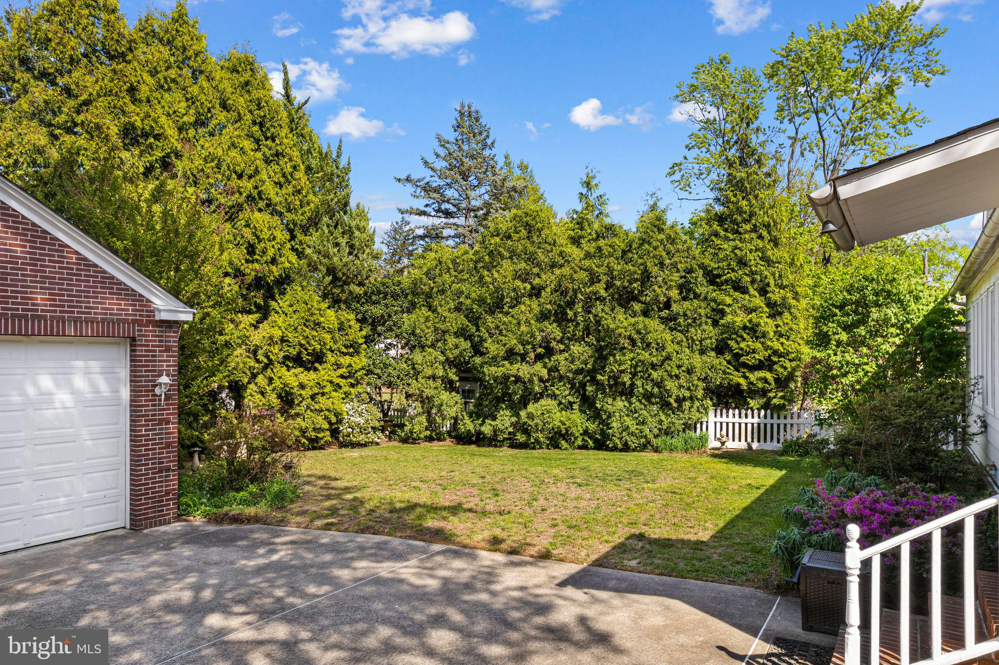 223 Hopkins Road Haddonfield, NJ 08033 - Photo 51 of 51 a view of a yard with plants