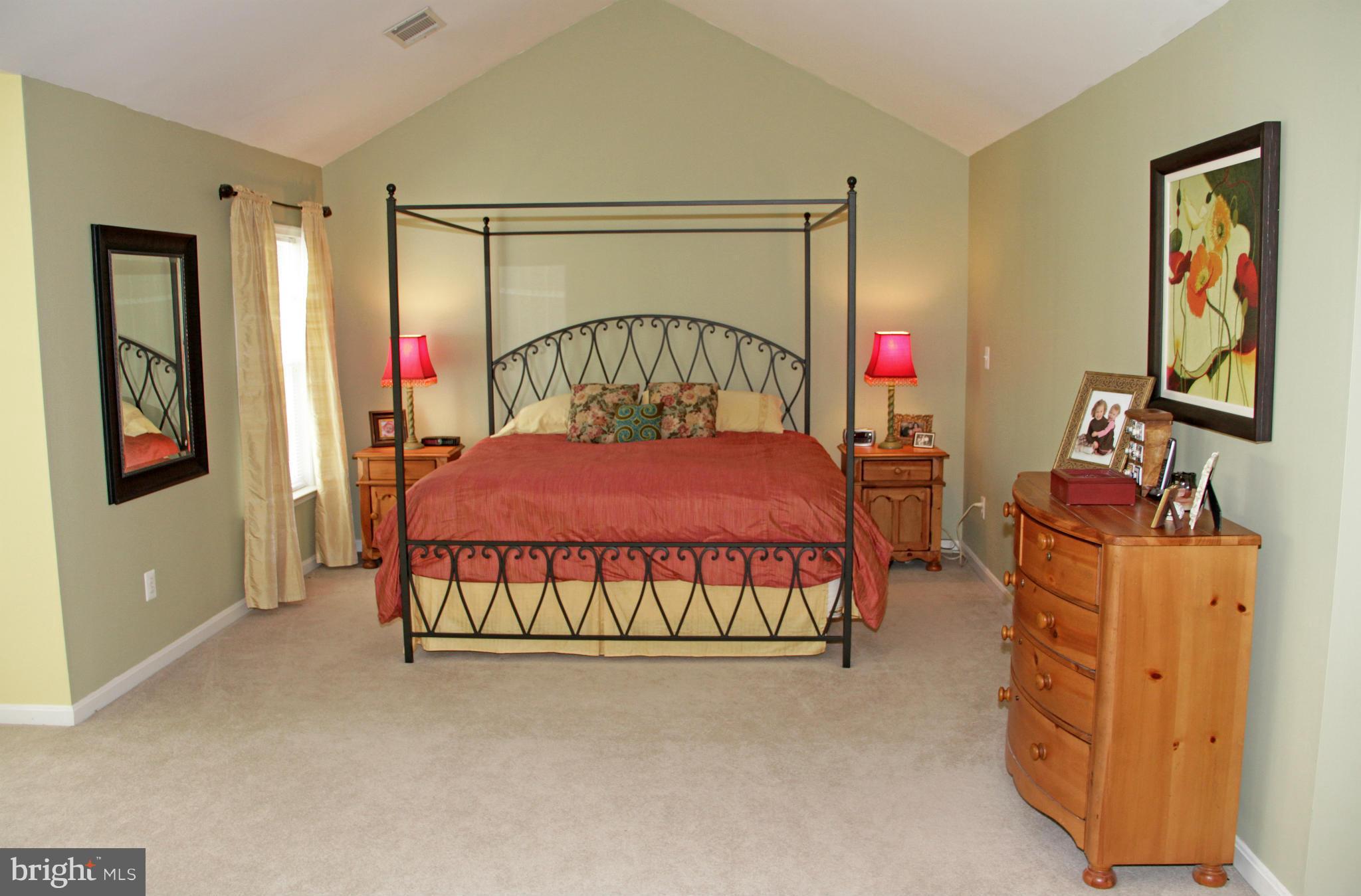 47551 Rippling Drive Sterling, VA 20165 - Photo 16 of 30 Cathedral Ceilings