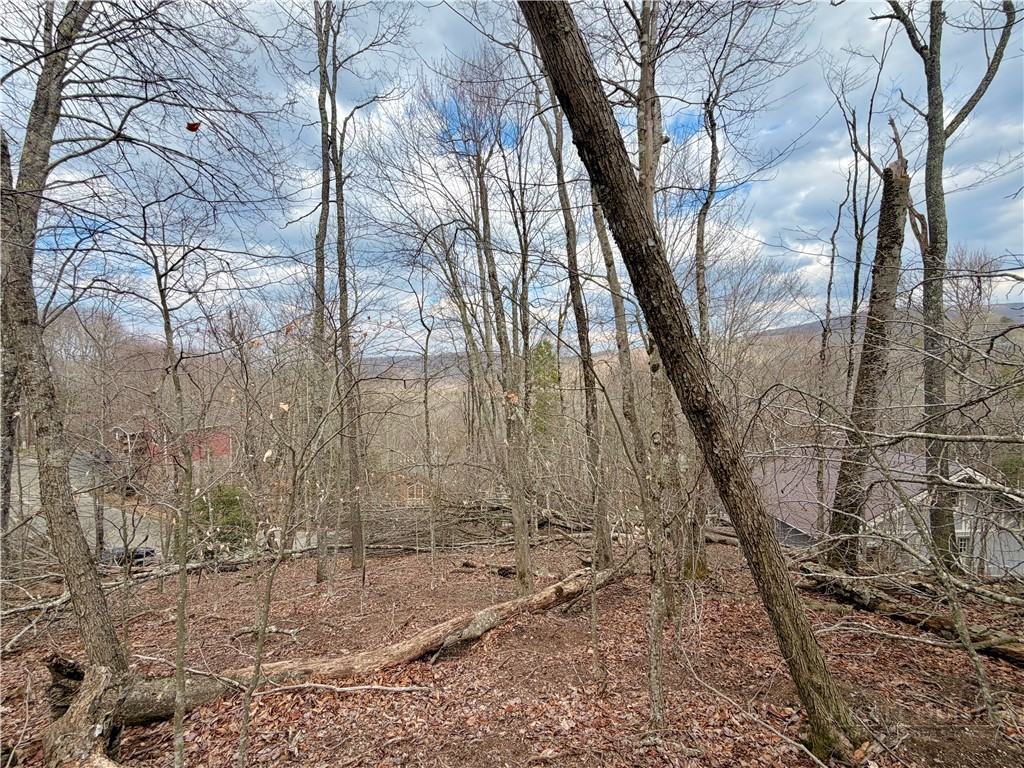 218 Lake Road Beech Mountain, NC 28604 - Photo 2 of 10 a view of a yard with lots of trees