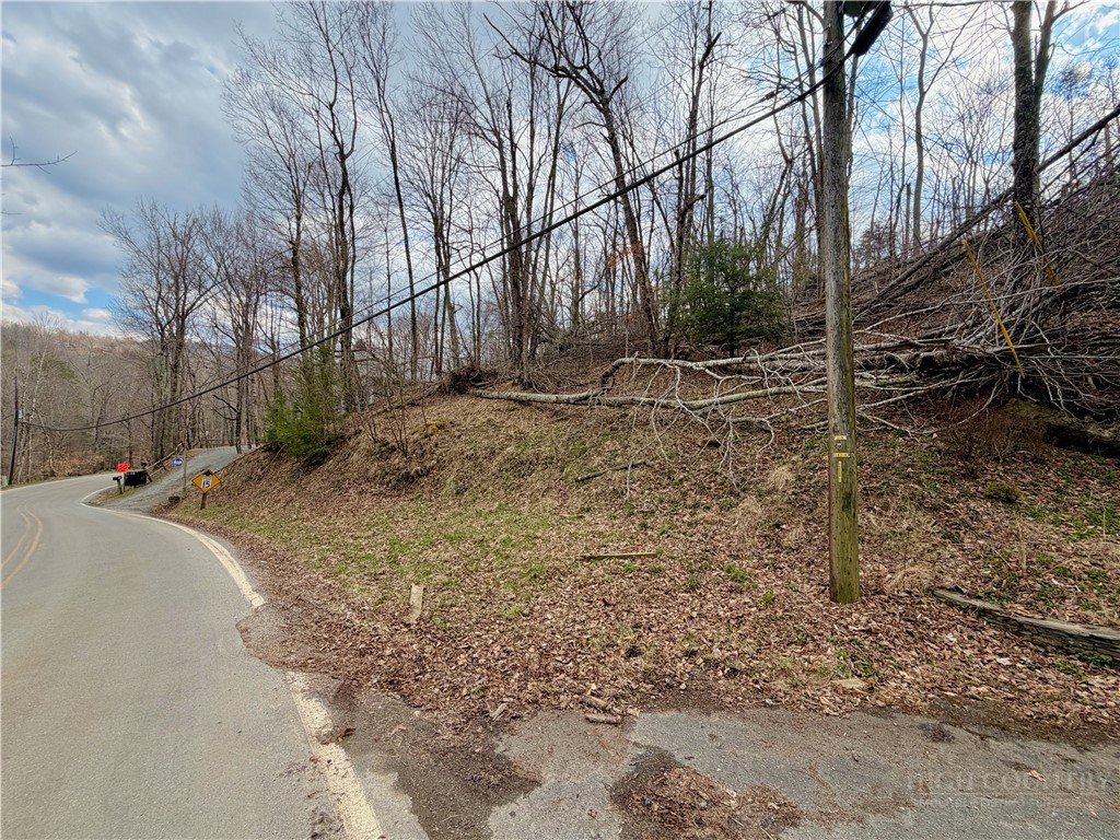 218 Lake Road Beech Mountain, NC 28604 - Photo 5 of 10 a view of a backyard of the house