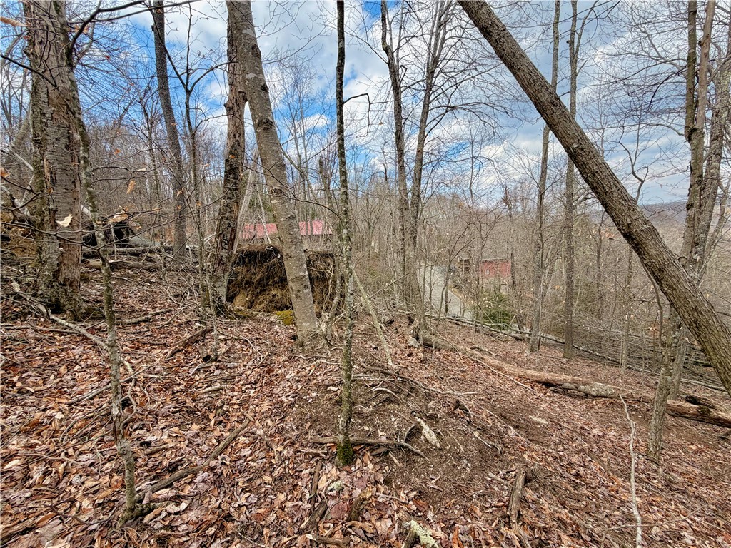 218 Lake Road Beech Mountain, NC 28604 - Photo 7 of 10 a backyard of a house with lots of green space