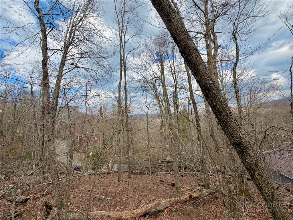 218 Lake Road Beech Mountain, NC 28604 - Photo 8 of 10 a backyard of a house