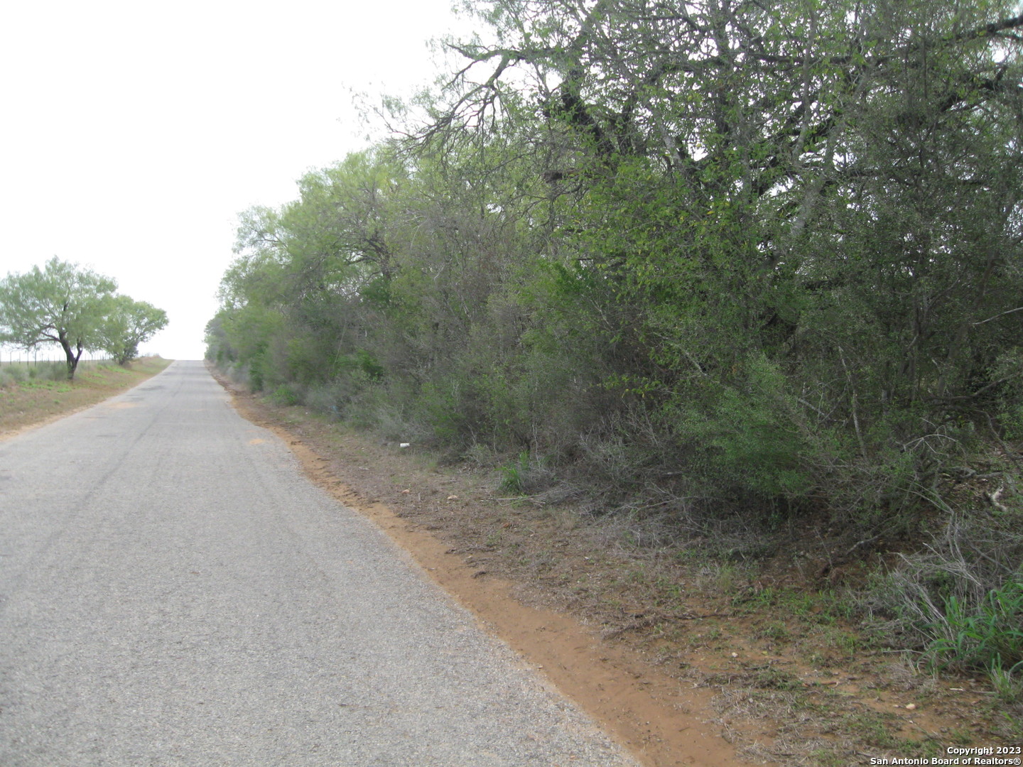 a view of a dirt road with trees