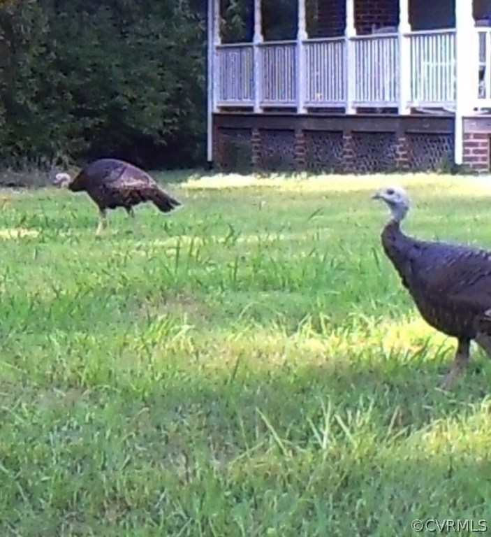 4500 Old Gee Road Hopewell, VA 23860 - Photo 48 of 50 Gallery Image 48