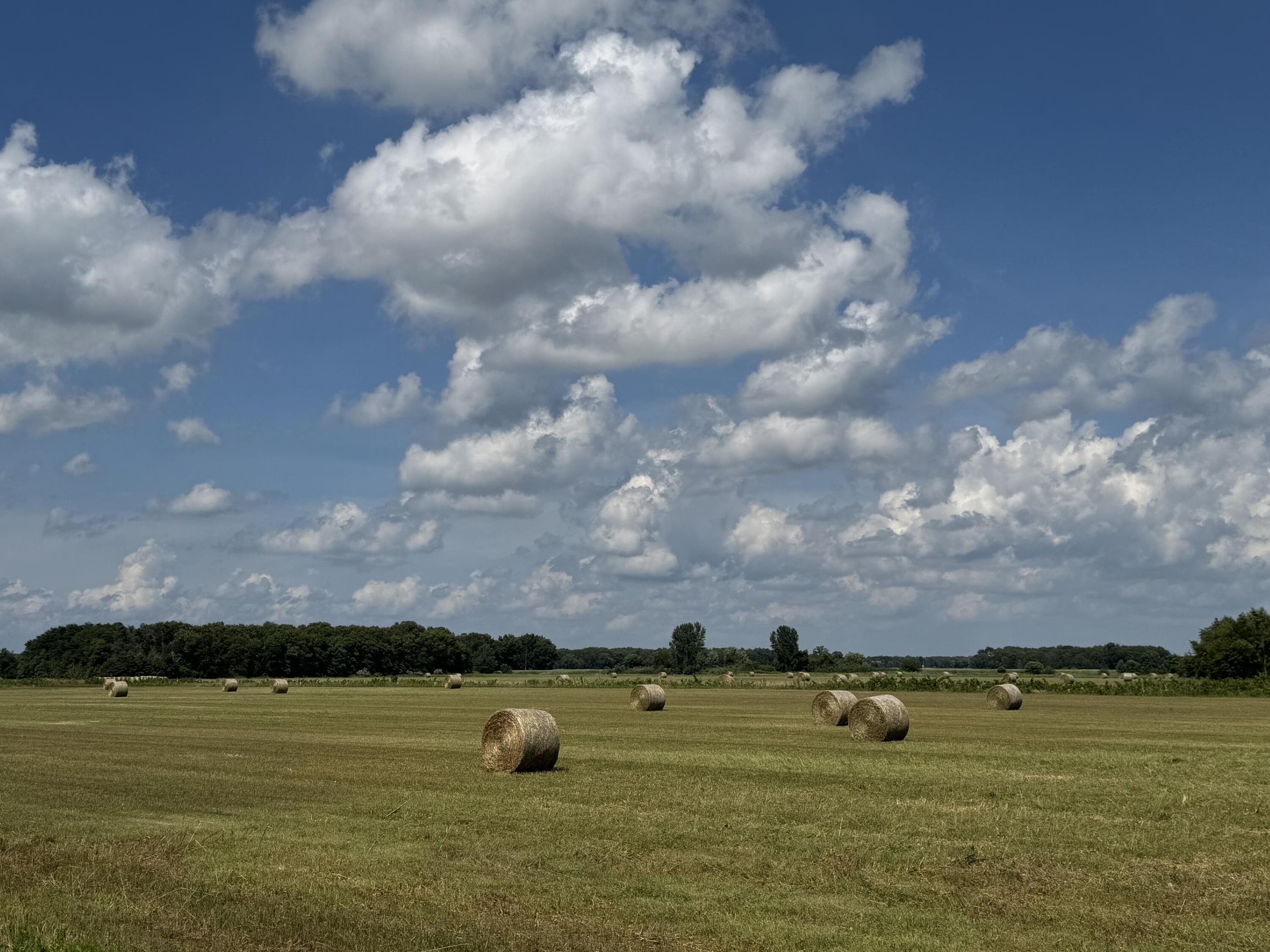8351 North St Road Lake Village, IN 46349 - Photo 3 of 5 3000x2250
