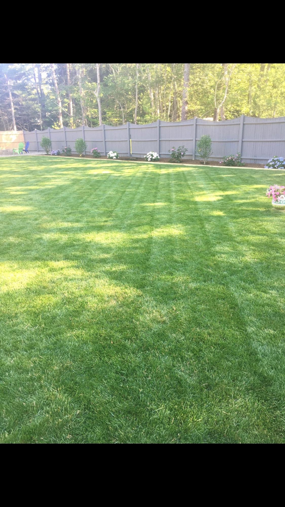 57 Anchor Lane Cotuit, MA 02635 - Photo 27 of 29 a view of an outdoor space and deck
